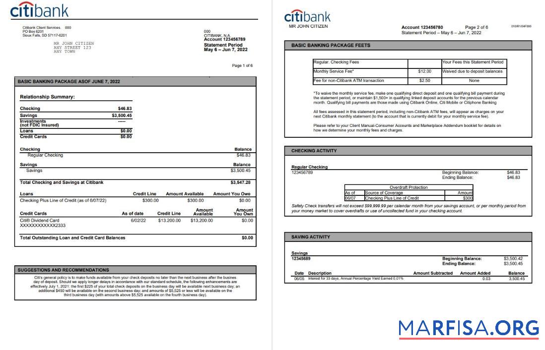 Printable USA Citibank bank statement word 6 pages sample